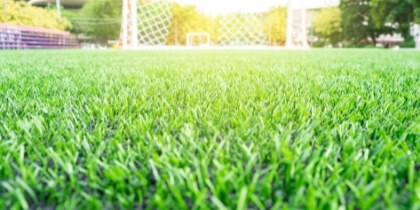 What Are The Benefits Of Artificial Grass?